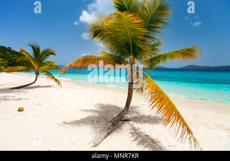 Schönen tropischen Strand mit Palmen, weißer Sand, türkises Meer Wasser und blauer Himmel auf St. John, US Virgin Islands in der Karibik Stockfoto