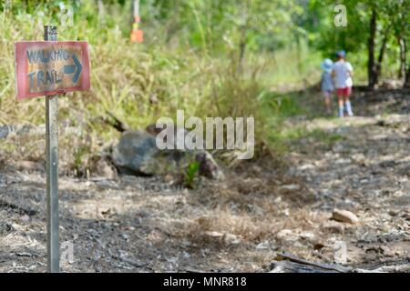 Walking Track trail Zeichen für Berg Halifax Trail, Rollingstone QLD, Australia Stockfoto