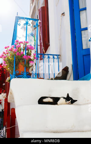 Katze im Freien vor der bunten blaue Tür in Griechenland Stockfoto