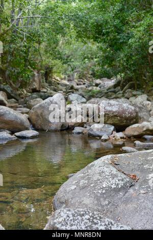 Oberlauf des Rollingstone Creek, Rollingstone QLD, Australia Stockfoto