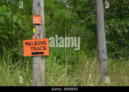 Walking Track trail Zeichen für Berg Halifax Trail, Rollingstone QLD, Australia Stockfoto