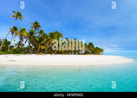 Atemberaubende tropische Aitutaki einen Fuß Insel mit Palmen, weißer Sand, türkises Meer Wasser und blauem Himmel in der Cook Inseln, Südpazifik Stockfoto