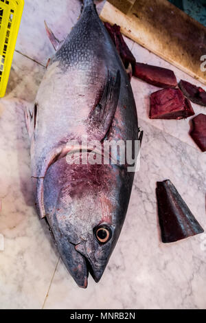 Frischer Thunfisch Fisch und Fleisch Stücke fertig zum Verkauf auf einen Markt in Sizilien Stockfoto