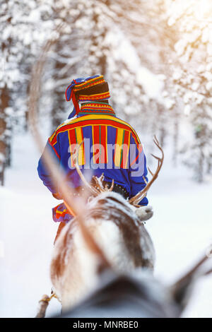 Rückansicht der Sami Mann an Rentier Safari im Winter Forest im finnischen Lappland Stockfoto