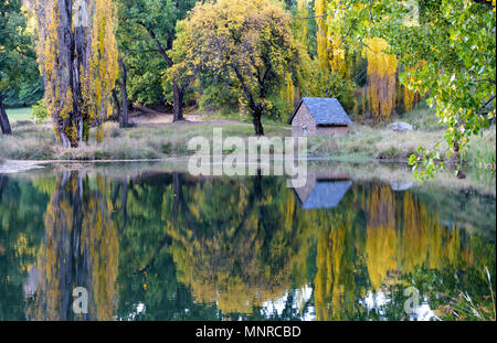 Bäume im Herbst in Teich wider Stockfoto