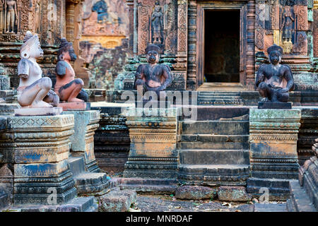 Schöne Banteay Srei Tempel Schnitzereien in Angkor Archäologische Stätten in Kambodscha Stockfoto