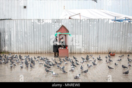 Zwei erwachsene Männchen converse außerhalb beim Füttern Tauben an einem regnerischen Tag in Istanbul, Türkei. Stockfoto