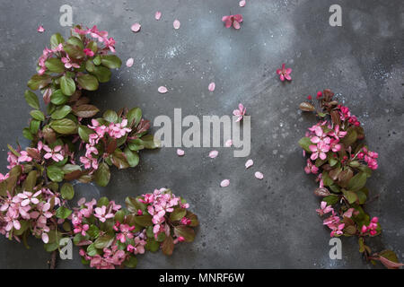 Rosa Blüten der blühenden Obst Apfel Baum auf vintage Tabelle. Kopieren Sie Platz. Konzept. Blick von oben. Stockfoto