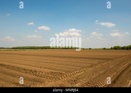 Frisch gepflügtes Feld unter blauem Himmel in der Nähe von High Melton, South Yorkshire, Großbritannien, mit geraden Furchen und offenem Ackerland, das für die Frühjahrspflanzung bereit ist Stockfoto