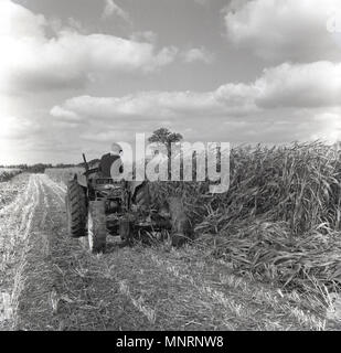 1964, historische, Landwirt auf seinem Traktor senkt die Fruchtarten in einem Feld, England, UK. Stockfoto