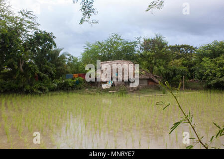 Ein ländliches Haus in Khulna, Bangladesh. Stockfoto