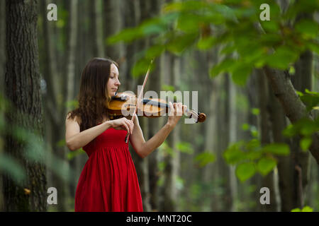 Mädchen im roten Kleid Violine zu spielen im Wald, weiches Licht Stockfoto