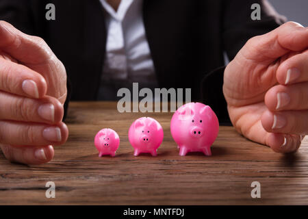 Der Unternehmer schützende Hand zunehmende Rosa Sparschweine In einer Reihe Stockfoto