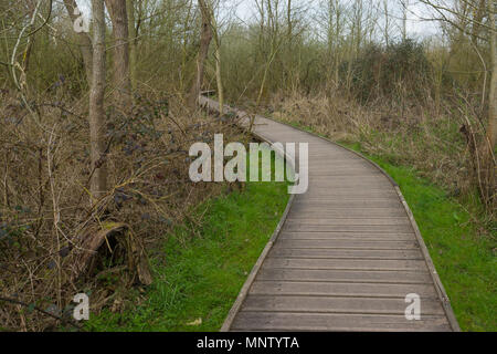 Holzsteg durch dornige Büsche in einem Wald Stockfoto