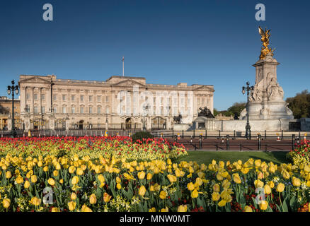 Der Buckingham Palace und das Victoria Memorial im Frühjahr, London, England, Großbritannien