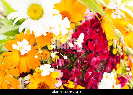 Frisches Bouquet von Frühling Blumen als Hintergrund. Stockfoto