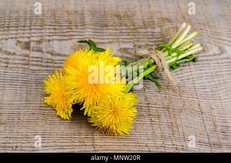 Gelb blühenden Löwenzahn auf Holz- Oberfläche. Studio Foto Stockfoto