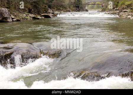 Starke Strömung und kochendem Wasser in Mountain River mit Spritzern. Schnelle Stream in den Karpaten, in der Ukraine. Steine in einem Berg River. Natürliche backgro Stockfoto