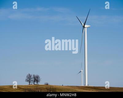 Drei Bäume und zwei riesige Windräder auf der Spitze eines Hügels.: Wind Generatoren der ländlichen Landschaft in dieser südwestlichen Ontario Gemeinschaft dominieren. Stockfoto