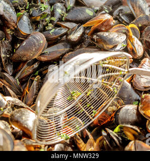 Eine Menge frisch gekochte Muscheln. Köstliche Meeresfrüchte. Muscheln essen. Selektive konzentrieren. Platz. Close-up. Stockfoto