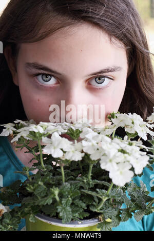 Junge Teen Girl riechen einen Topf mit weißen Blumen Eisenkraut. Stockfoto