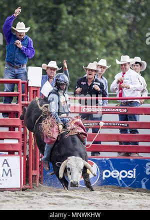 Surrey, British Columbia, Kanada. 19 Mai, 2018. Ein Cowboy konkurriert in den Stier reiten Kategorie an der 72nd Cloverdale Rodeo und 130 Country Fair am 19. Mai in Surrey, BC, Kanada 2018. Credit: Andrew Kinn/ZUMA Draht/ZUMAPRESS.com/Alamy leben Nachrichten Stockfoto