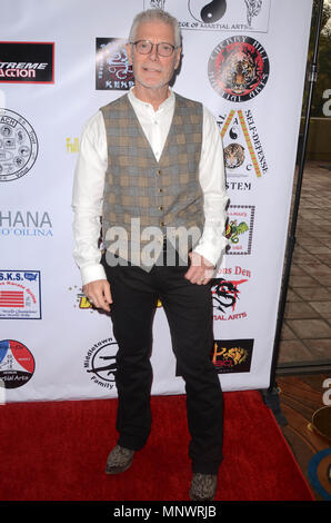 Kalifornien, USA. 19 Mai, 2018. Stephen Lang an der USA Martial Arts Hall of Fame im Doubletree by Hilton in Culver City, Kalifornien am 19. Mai 2018. Quelle: David Edwards/Medien Punch/Alamy leben Nachrichten Stockfoto