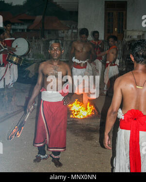 Männer Feuerlauf in Kandy, Sri Lanka Stockfoto