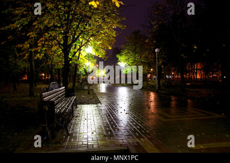 City Park am Abend nach dem Regen. Stockfoto