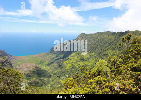 Blick auf die Na Pali Küste und das Kalalau Tal vom Kokee State Park auf der Insel Kauai, Hawaii. Stockfoto