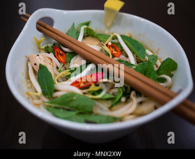 Schön und appetitlich Foto von einem traditionellen vietnamesischen Huhn Nudelsuppe, auch bekannt als Pho Ga. In einer weißen Schüssel mit Holz- Hintergrund und luxuri Stockfoto