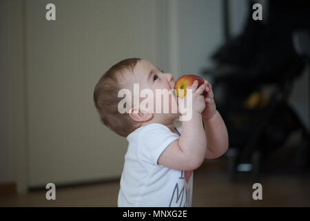 Kleines Kind hält seine Hände apple und nagt Stockfoto