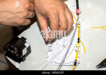 Techniker setzen Sie optische Kabel und Draht in LWL-Kabelbaumverzweigung zu schließen. Bis, selektive konzentrieren. Modernes und schnelles Internet und Netzwerk Konzept Stockfoto