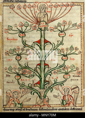 . Deutsch: "Baum der Tugenden" von Speculum virginum, Walters Art Museum Frau W. 72, fol. 26 r 13. Jahrhunderts Handschrift aus der Zisterzienserabtei von Himmerode, Deutschland. Baum der Kardinaltugenden mit Ihren Sub-Tugenden; der entsprechende Baum der Laster ist auf der vorhergehenden Seite, Datei: Laster Speculum virginum W72 25 v.jpg. Die sieben Kardinaltugenden sind Caritas "Liebe", "Glaube", "Hoffnung", Spes temperantia "temperance", fortitudo 'Tapferkeit', 'Gerechtigkeit' und iusticia Prudentia 'Vorsicht', mit HUMILITAS "Demut" an der Wurzel aller. An der Spitze des Baums ist novus Adam (Christus), kontrastiert Stockfoto