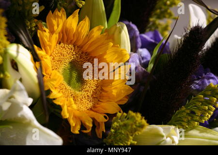 Leuchtend gelbe Sonnenblumen waitting Für die besonderen Menschen in Ihrem Leben gekauft werden Stockfoto