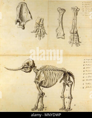 . Malerei die Skizze der Mastodon von Rembrandt Peale. 1801. Rembrandt Peale 1778-1860 1273 Die Skizze der mastodon Rembrandt Peale Stockfoto