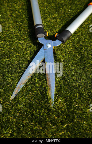 Gartenschere Werkzeug liegen auf Gras in einer zurück Garten Hof Stockfoto