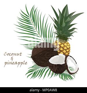 Ananas, Kokos, ganze Stücke mit Palmblättern auf weißem Hintergrund. Bunte botanischen vector Abbildung. Vintage tropic Design Stock Vektor