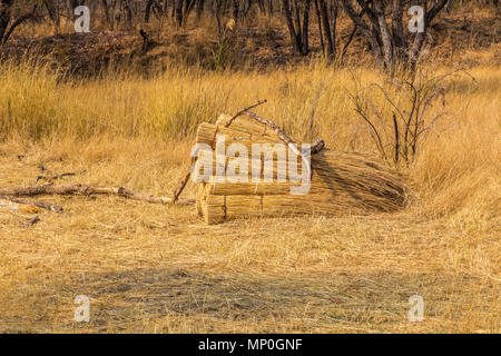 Gras in Bündeln für thatching traditionelle Häuser in Simbabwe bereit Stockfoto