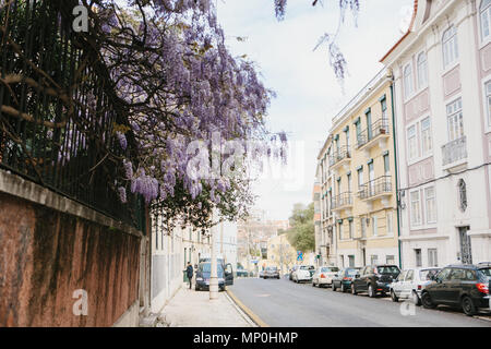 Lissabon, 1. Mai 2018: Eine ordentliche Stadt Straße mit Wohnhäusern. Normales Leben in Europa. Stockfoto