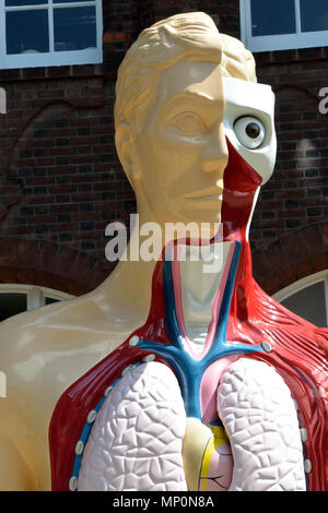 Damien Hirst Skulptur 'Lied' auf temporäre Anzeige in St. Georges Street außerhalb der Norwich Universität der Künste, Norwich, Norfolk, Großbritannien Stockfoto