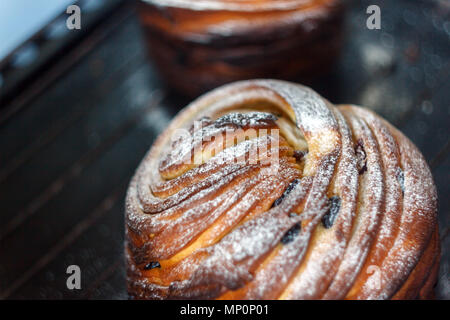 Cupcake Torte Crunch in Form einer Rolle bestreut mit Puderzucker auf einem dunklen Hintergrund und eine antike Gitter. Ostern und Weihnachten backen. Top vi. Stockfoto