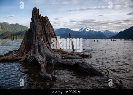 Innenansicht der kanadischen Landschaft während einer bewölkt Sonnenaufgang. In Daube, See, östlich von Vancouver, British Columbia, Kanada. Stockfoto