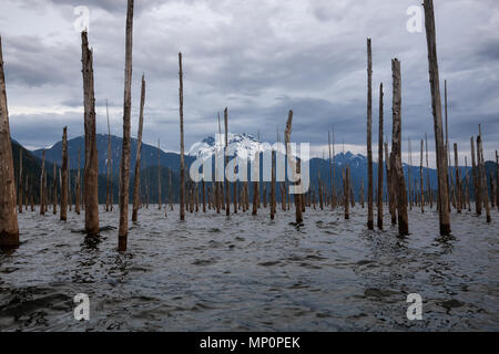 Innenansicht der kanadischen Landschaft während einer bewölkt Sonnenaufgang. In Daube, See, östlich von Vancouver, British Columbia, Kanada. Stockfoto