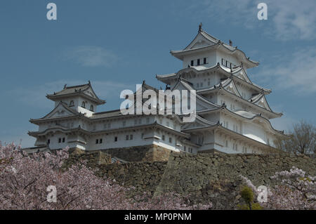 Schloss Himeji, Japan während Sakura (cherry-blossom) Saison Stockfoto