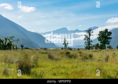 Schönen Tal in Neuseeland Stockfoto