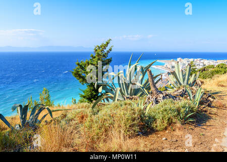 Tropische Agaven wachsen auf Felsen in der schönsten Bucht der Insel Rhodos. Griechenland Stockfoto