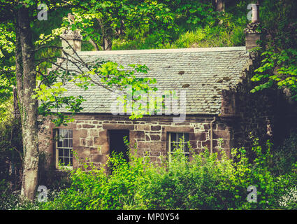 Eine kleine Alte Hütte oder Haus versteckt im Wald Stockfoto