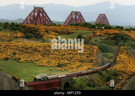 Der Flying Scotsman Dampflokomotive macht seinen Weg durch die Fife Landschaft mit der Forth Rail Bridge im Hintergrund. Stockfoto