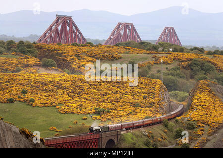 Der Flying Scotsman Dampflokomotive macht seinen Weg durch die Fife Landschaft mit der Forth Rail Bridge im Hintergrund. Stockfoto